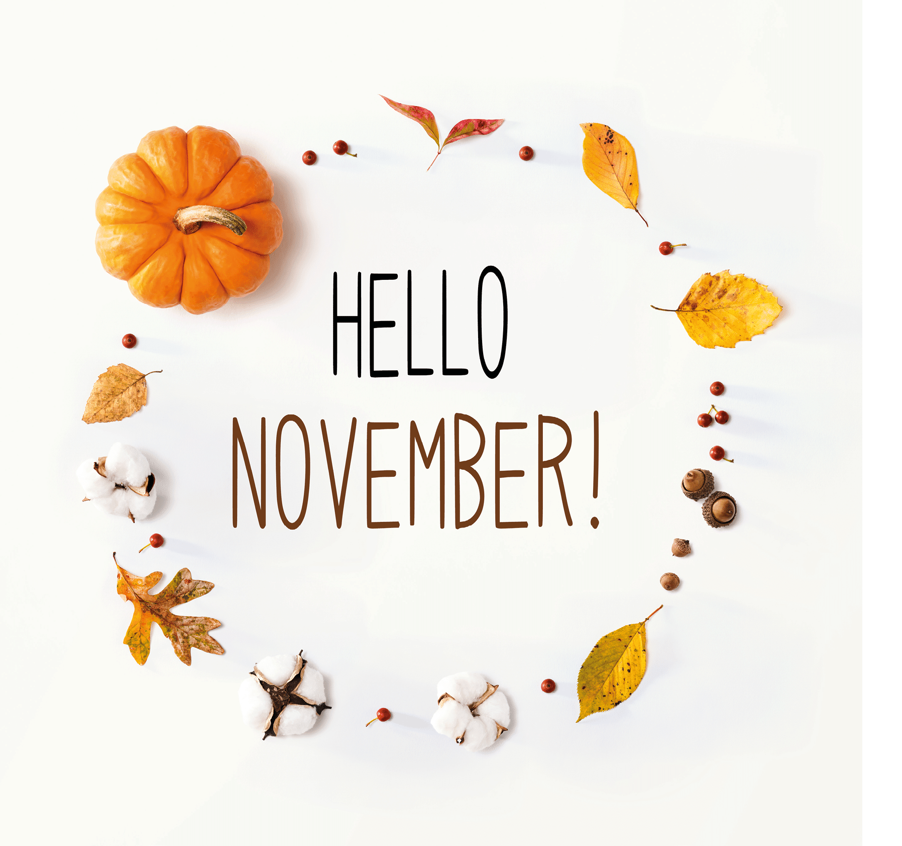 Hello November message with autumn leaves and an orange pumpkin