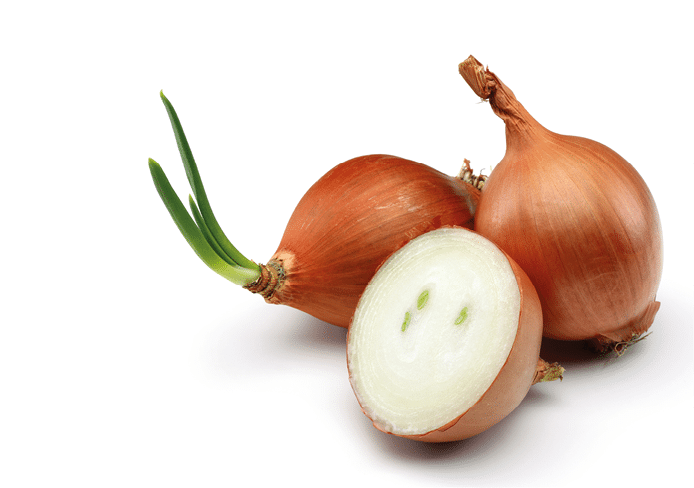 Fresh shallot, onion with slice isolated on white background
