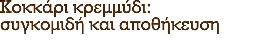 Kοκκάρι κρεμμύδι: συγκομιδή και αποθήκευση