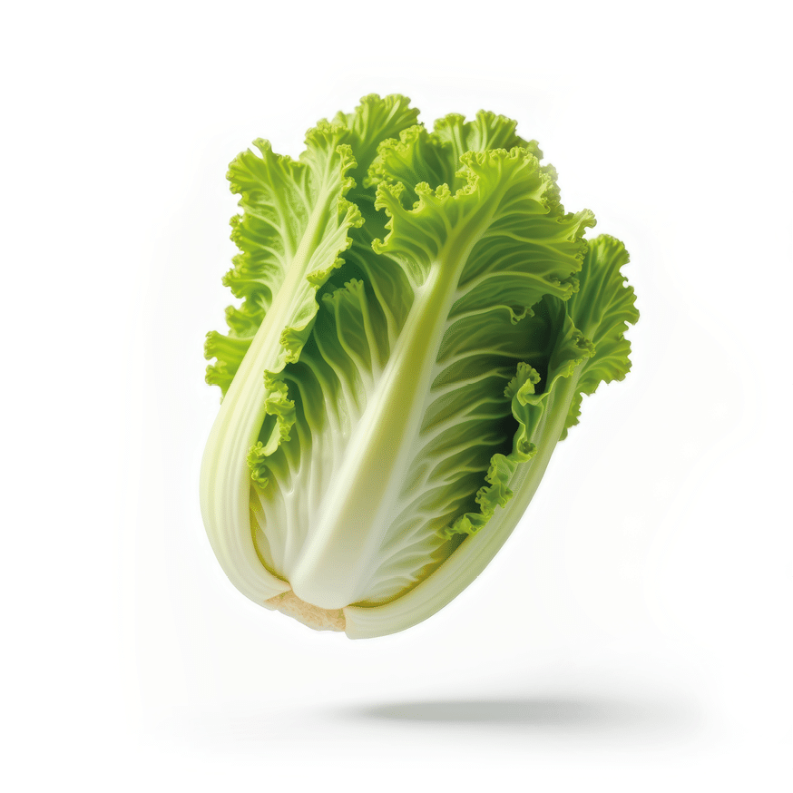 Rectangle
