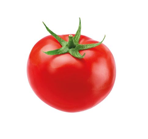 Fresh juicy red Tomato isolated on white background. Clipping path.
