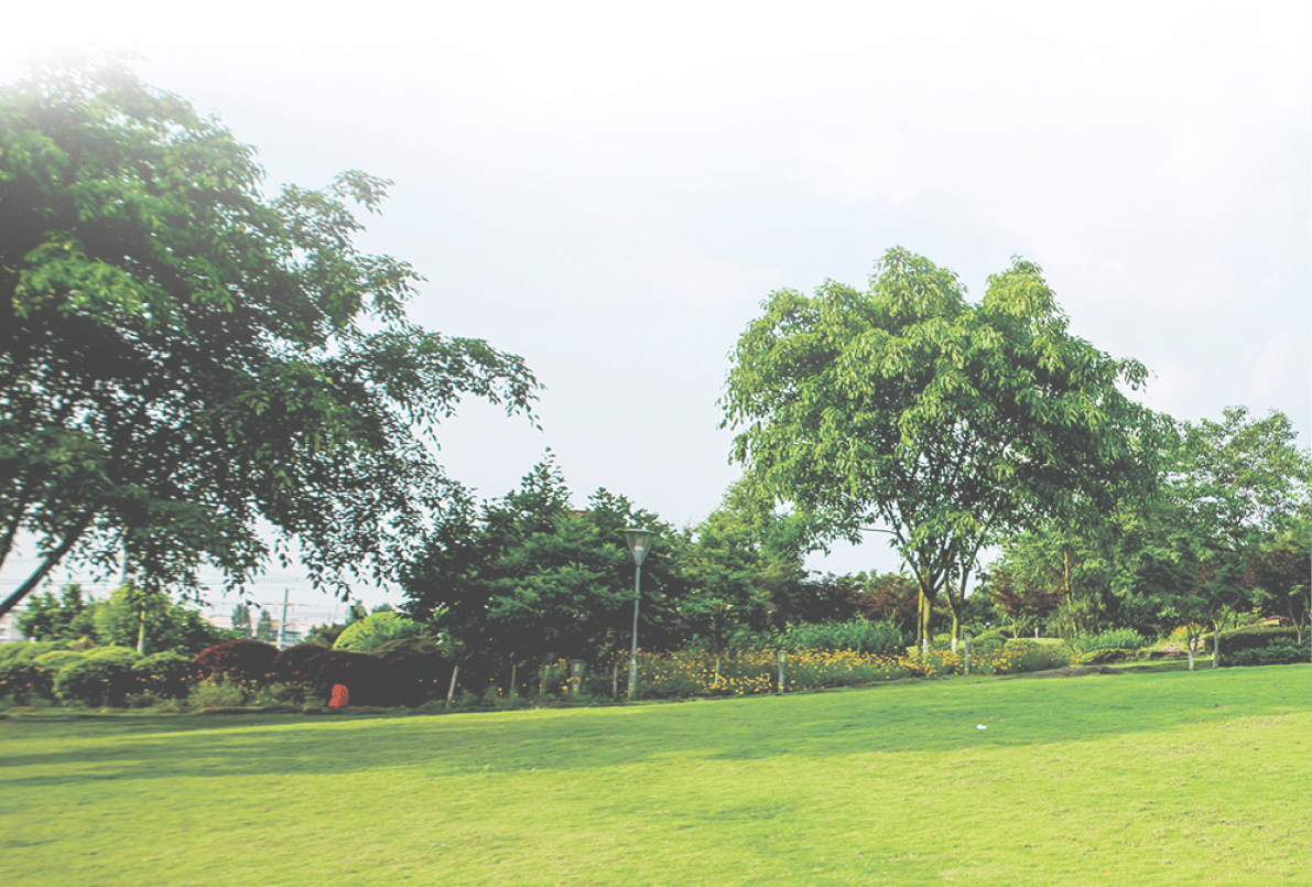 Grassland landscape and greening environment park background