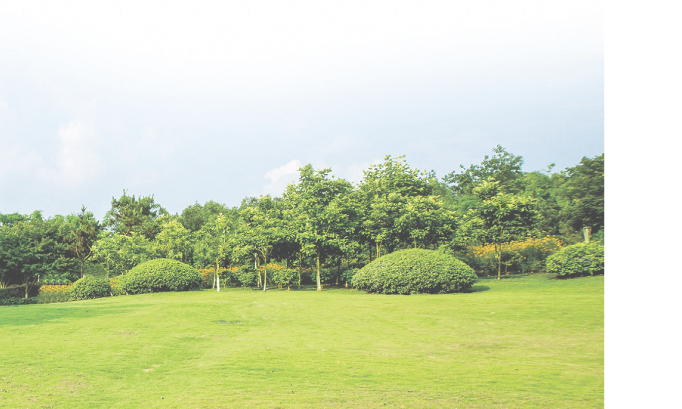 Grassland landscape and greening environment park background